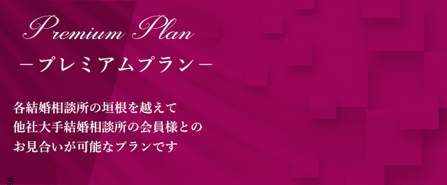 プレミアムプラン料金