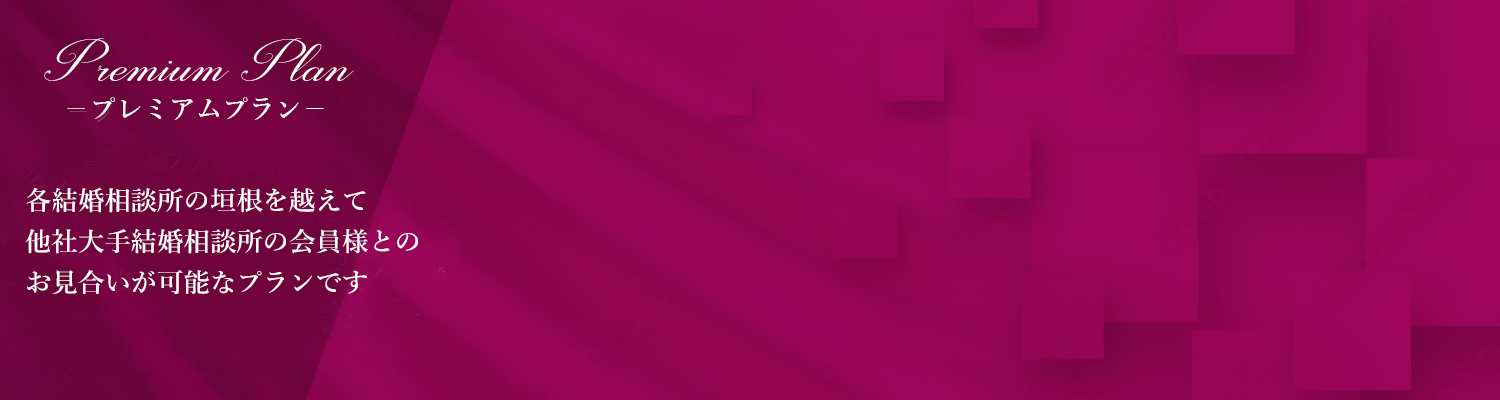 プレミアムプラン料金